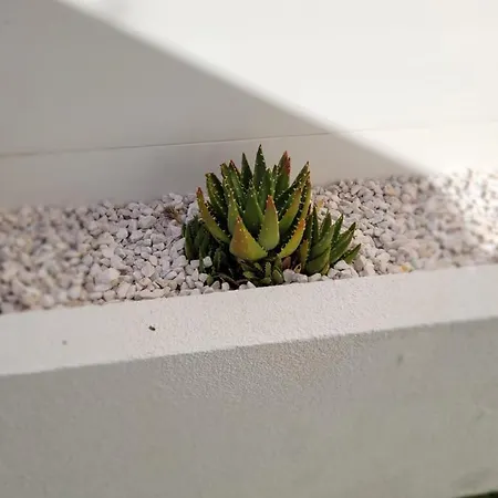 Tahiti Beach, T2 A La Mer, Piscine, Terrasse Et Parking