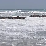 Tahiti Beach, T2 A La Mer, Piscine, Terrasse Et Parking 아파트