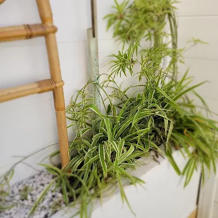 Tahiti Beach, T2 A La Mer, Piscine, Terrasse Et Parking Apartamento *