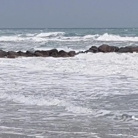 Tahiti Beach, T2 A La Mer, Piscine, Terrasse Et Parking Apartamento