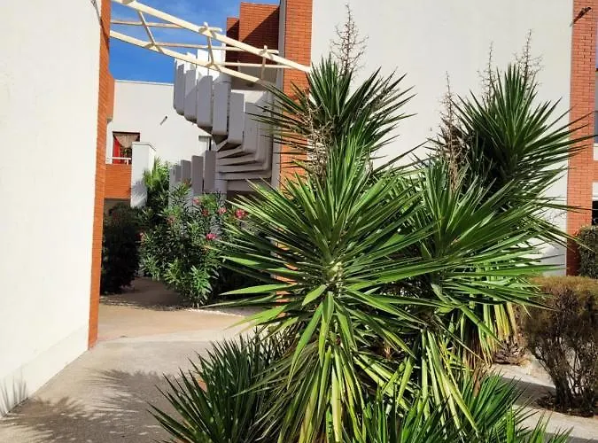 Tahiti Beach, T2 A La Mer, Piscine, Terrasse Et Parking フロンティニャン